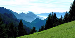 CADI 031-copie-1-copie.jpg