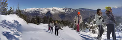 20160312_120208-PANO.jpg